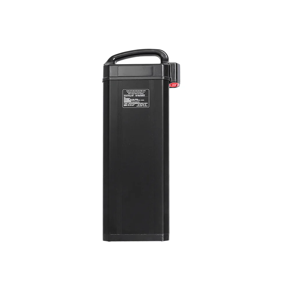 Batterie Supplémentaire Fiido L3