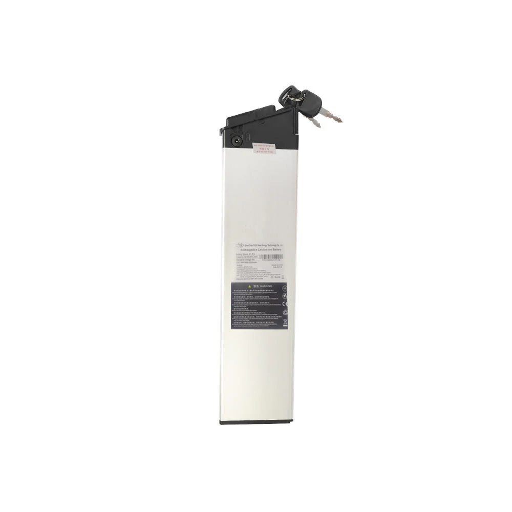 Batterie Supplémentaire Fiido M1 pro