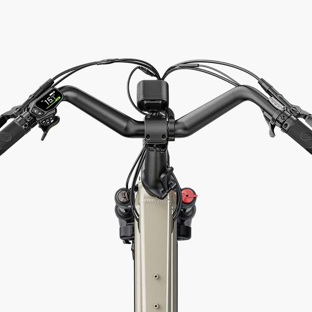 Fiido T3 Max Vélo Électrique Cargo Longtail - Image 10