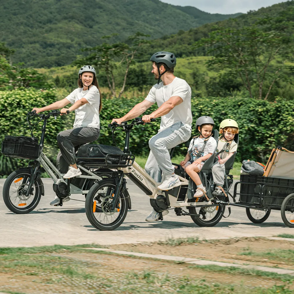 Fiido T3 Max Vélo Électrique Cargo Longtail - Image 2