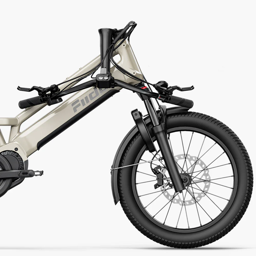 Fiido T3 Max Vélo Électrique Cargo Longtail - Image 9