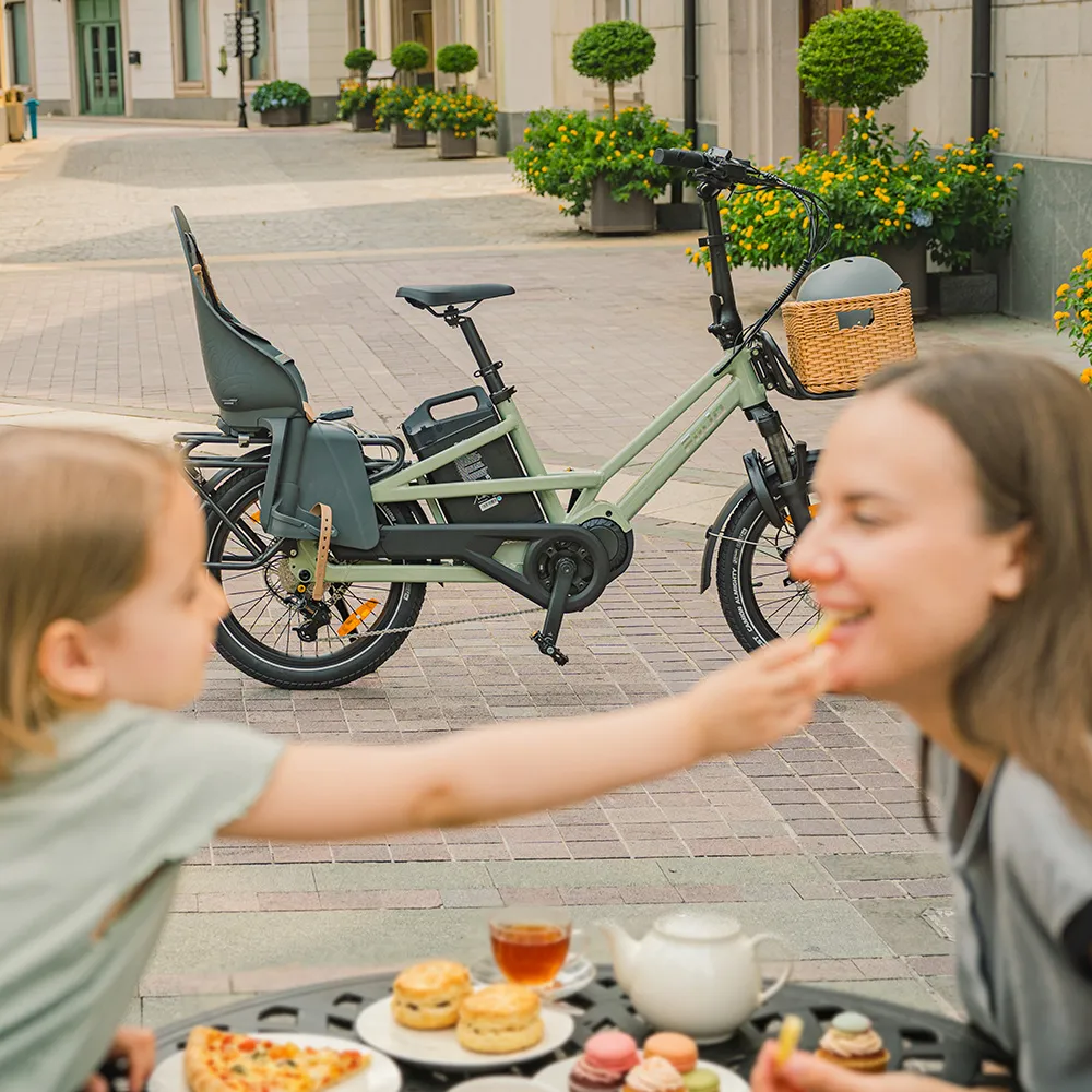 Fiido T3 Vélo Électrique Cargo Familial Urbain - Image 4