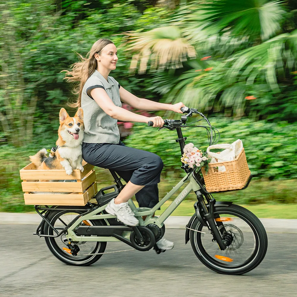 Fiido T3 Vélo Électrique Cargo Familial Urbain - Image 7