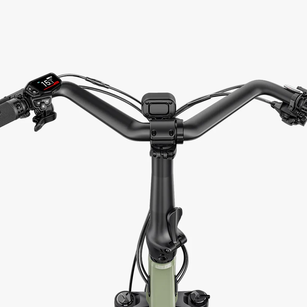 Fiido T3 Vélo Électrique Cargo Familial Urbain - Image 9