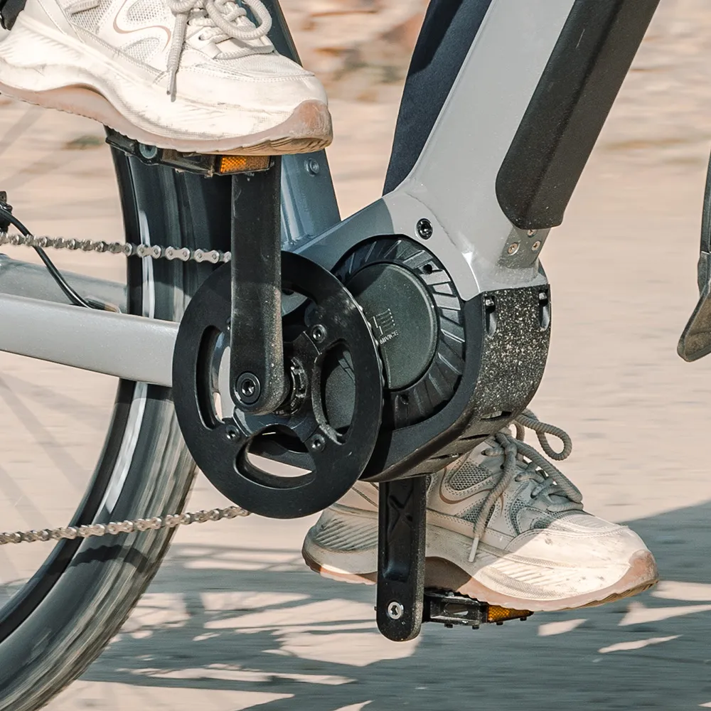 Fiido Nomads Pro Vélo Électrique de Randonnée - Image 4