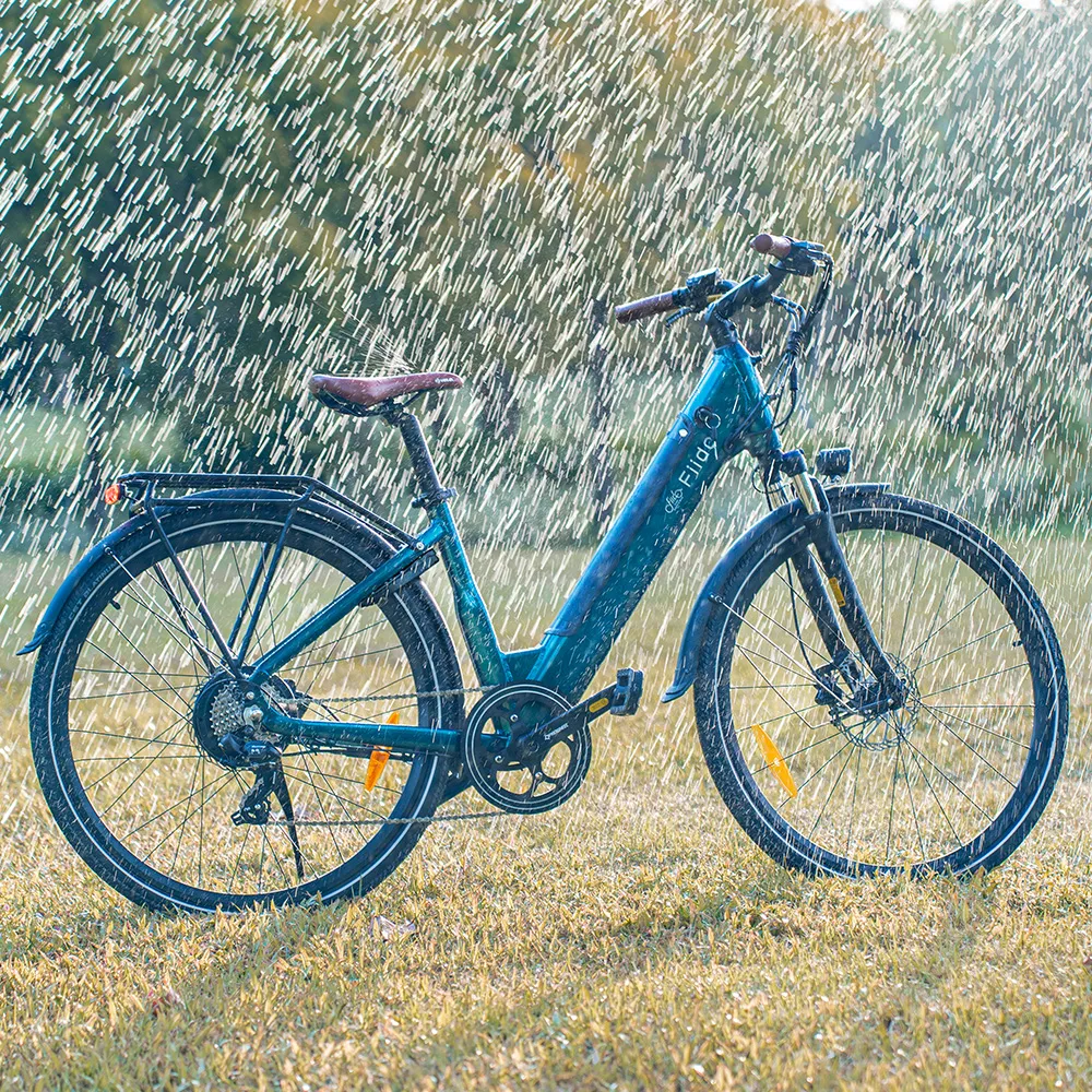 Fiido C11 Pro : Léger, autonomie de 104 km, étancheité IP54 - Image 5