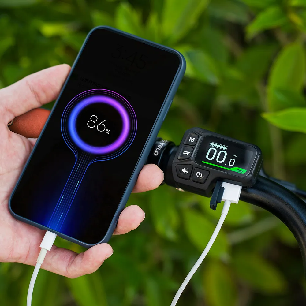 Fiido C11 Pro : Léger, autonomie de 104 km, étancheité IP54 - Image 6