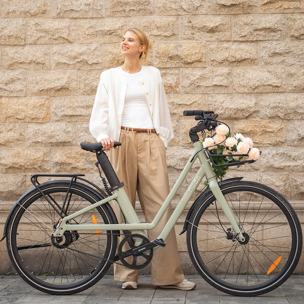 Fiido C700 Vélo Électrique Urbain
