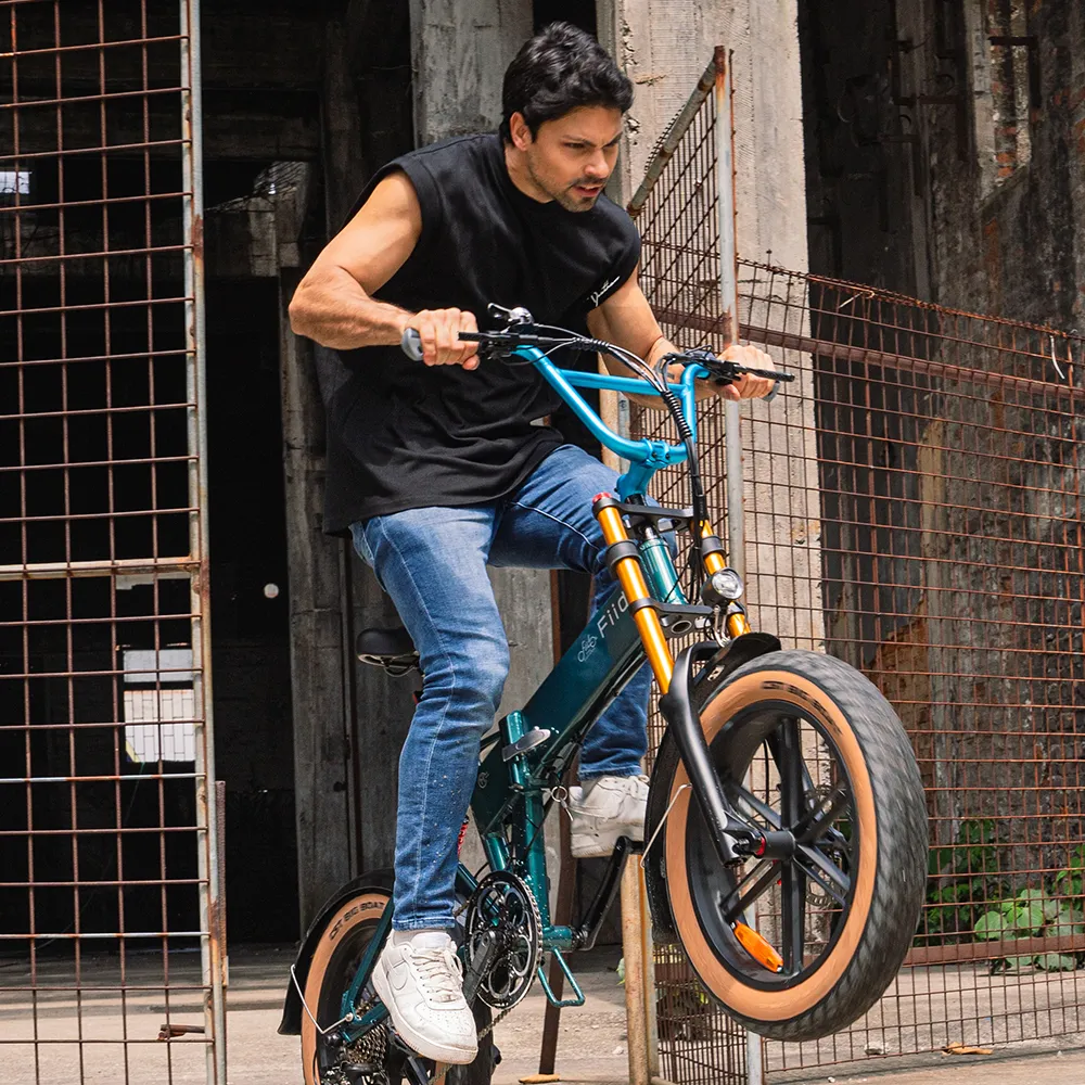 Fiido M1 Pro Vélo électrique Vtt Fatbike Cargo De Gros Pneus - Image 11