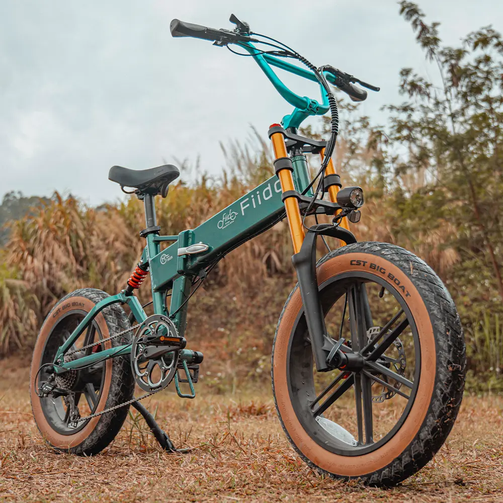 Fiido M1 Pro Vélo électrique Vtt Fatbike Cargo De Gros Pneus - Image 5