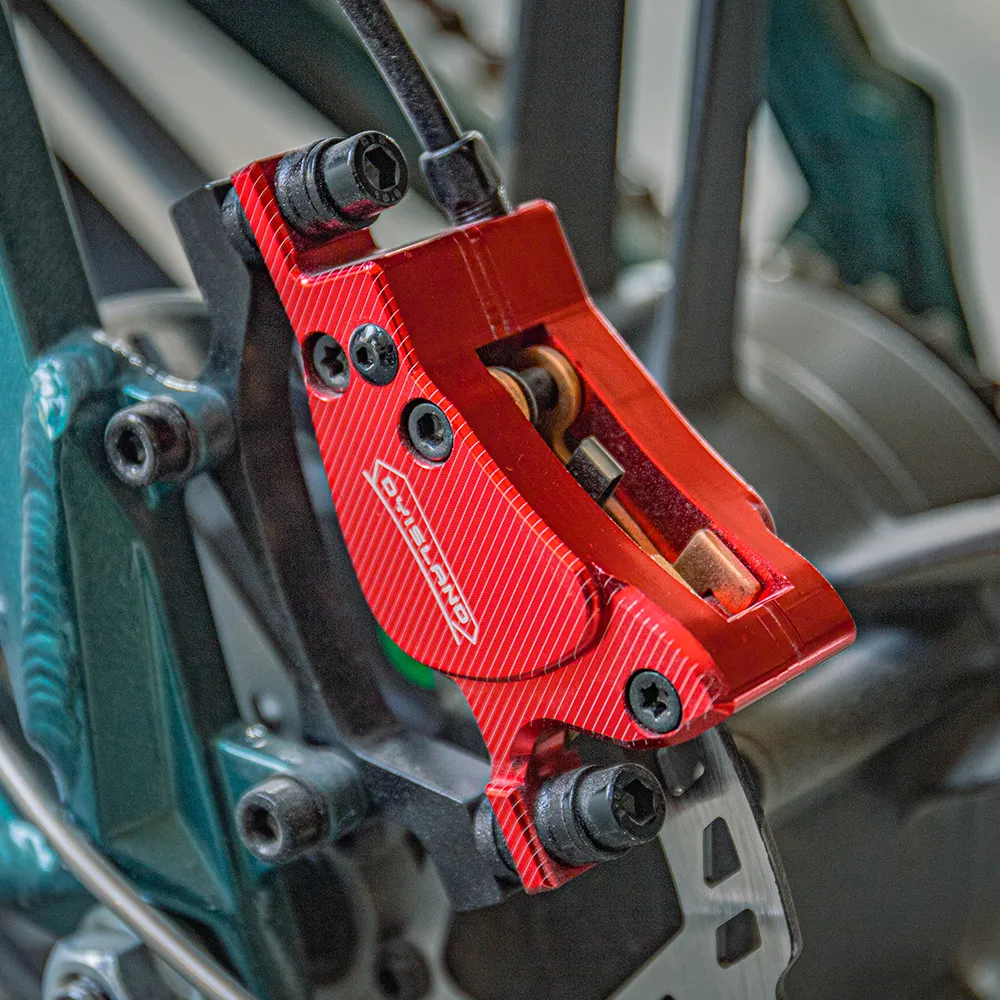 Fiido M1 Pro Vélo électrique Vtt Fatbike Cargo De Gros Pneus - Image 7