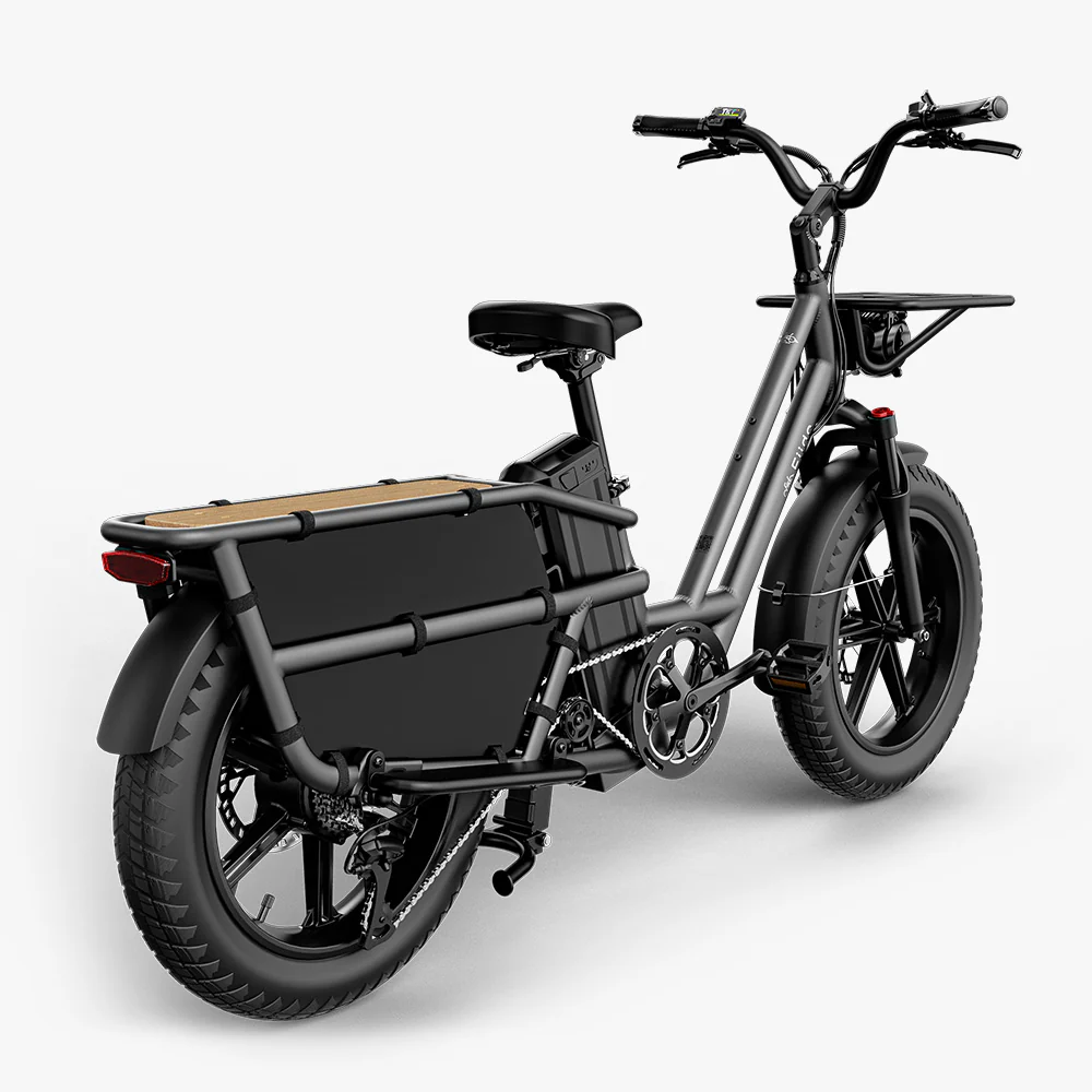 Vélo cargo électrique Fiido T2 : 200 kg de charge utile, 136,26 km d’autonomie maximale. - Image 14