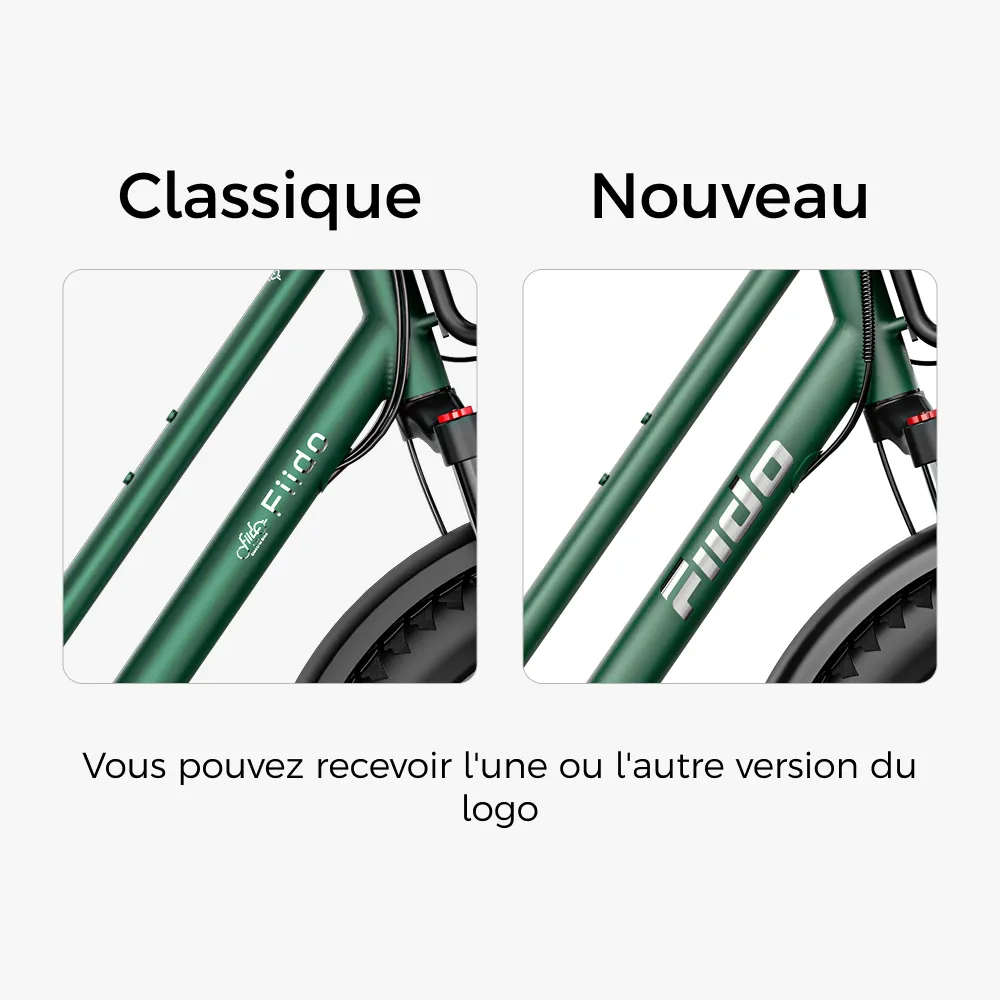 Vélo cargo électrique Fiido T2 : 200 kg de charge utile, 136,26 km d’autonomie maximale. - Image 3
