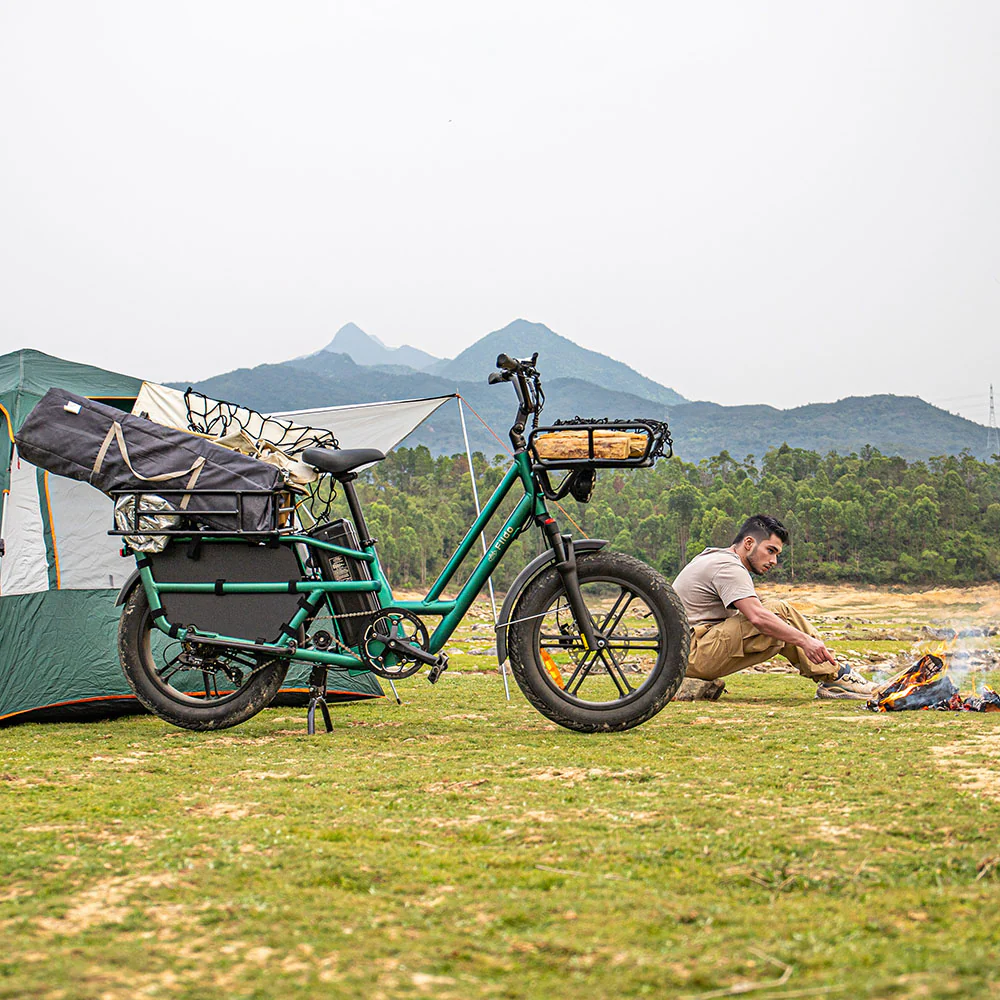 Vélo cargo électrique Fiido T2 : 200 kg de charge utile, 136,26 km d’autonomie maximale. - Image 5