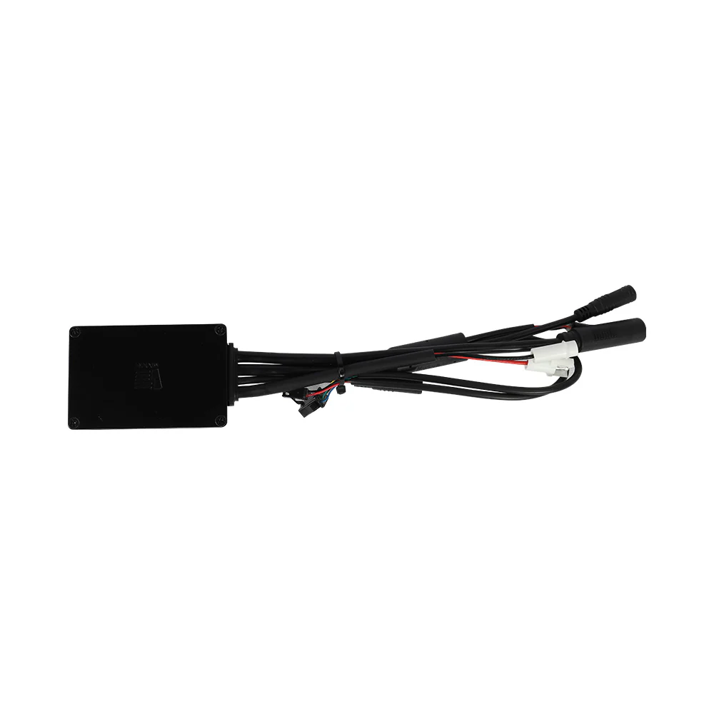 Fiido X Contrôleur 250W