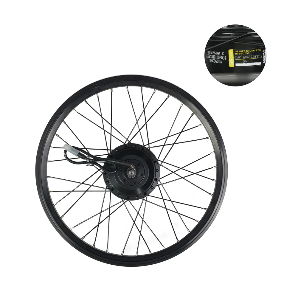 Roue arrière 250W pour Fiido X