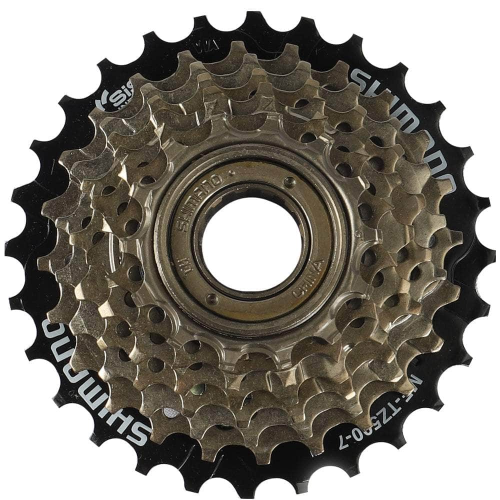 Roue libre de Fiido T1